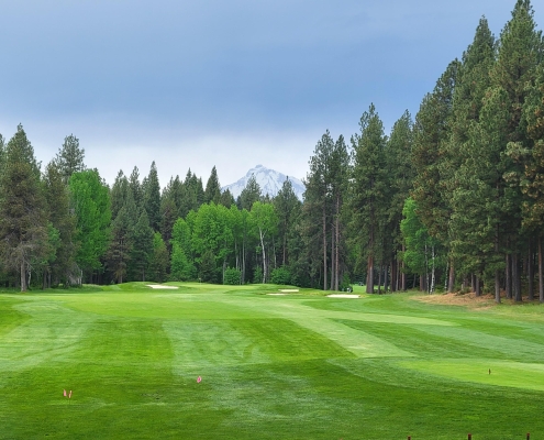 DH 3 Golf course green