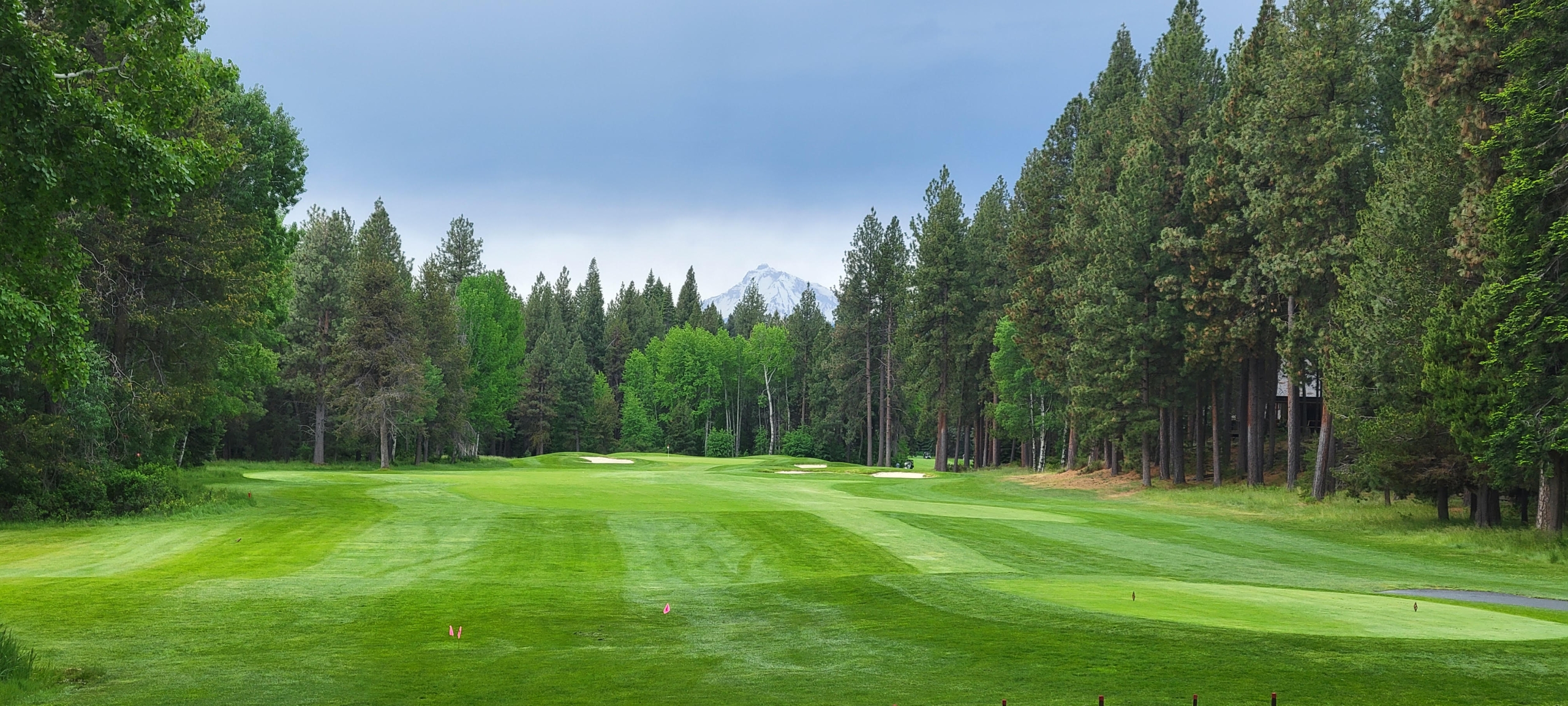 DH 3 Golf course green