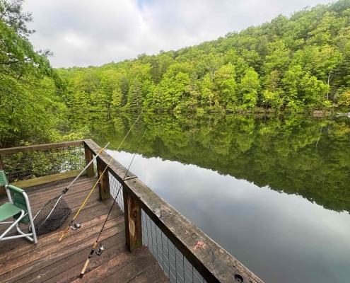 K 1 Dock with fishing poles and green trees