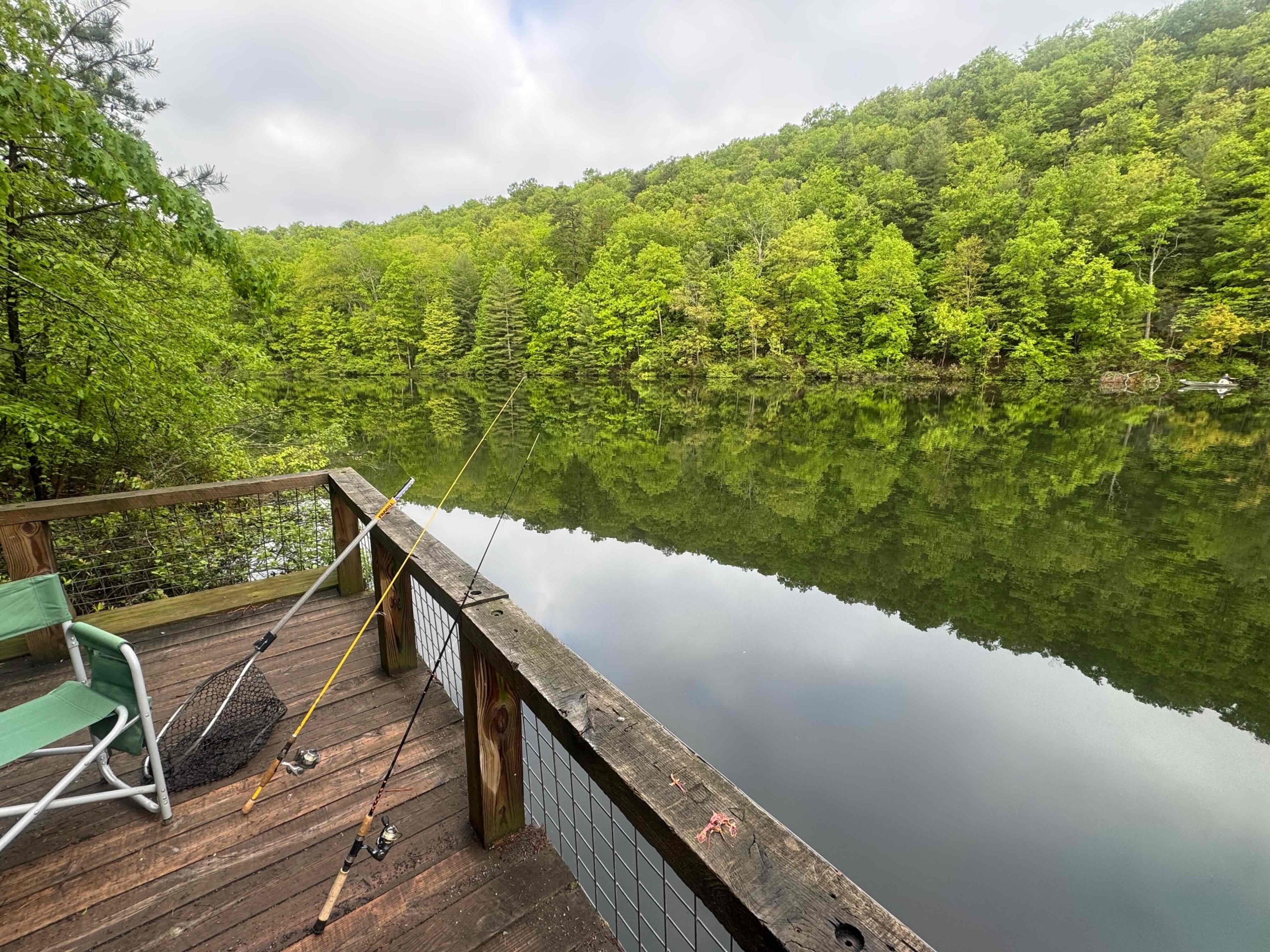 K 1 Dock with fishing poles and green trees
