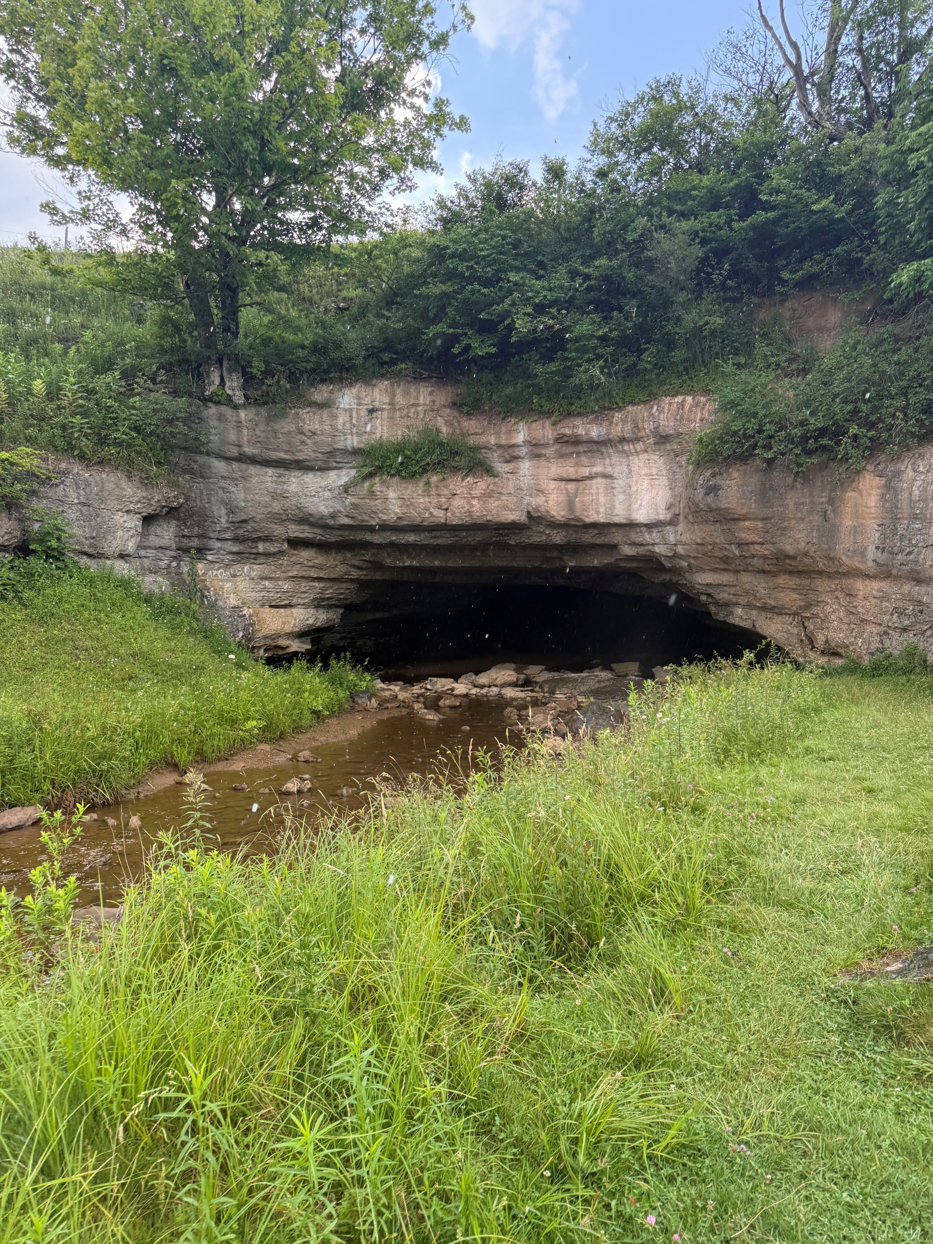 SG 2 Rock formation with green grass and trees