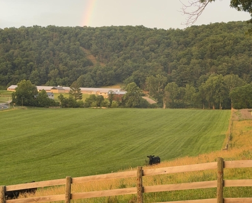 CjQKMFNuYXBjaGF0LzE0LjEzLjAuNTMgKGlQaG9uZTE3LDI7IGlPUyAyNi41OyBnemlwKSAC Summer farm with a rainbow in the sky