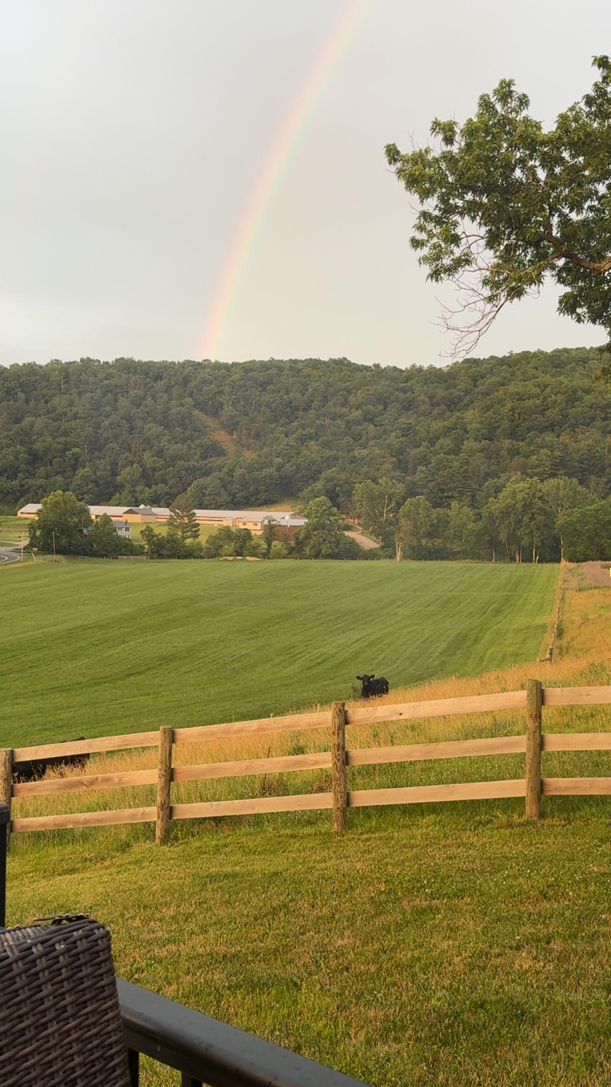CjQKMFNuYXBjaGF0LzE0LjEzLjAuNTMgKGlQaG9uZTE3LDI7IGlPUyAyNi41OyBnemlwKSAC Summer farm with a rainbow in the sky